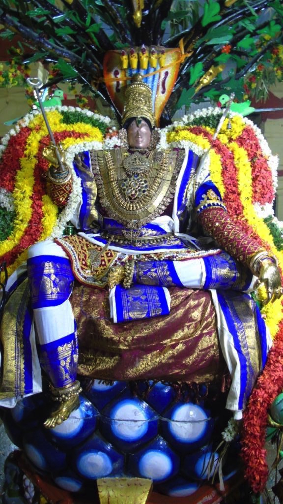 Mannargudi-Sri-Rajagopalaswami-11