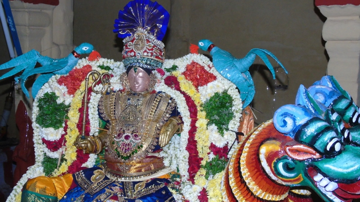 Mannargudi-Sri-Rajagopalaswami-12