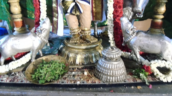 Mannargudi-Sri-Rajagopalaswami-27