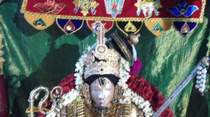 Mannargudi-Sri-Rajagopalaswami-28