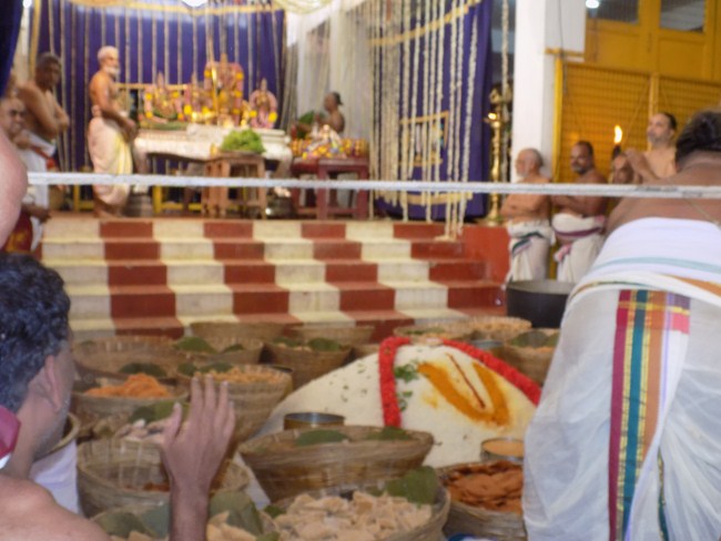 Mylapore SVDD Srinivasa Perumal Temple Manmadha Varusha Annakota Mahotsavam1