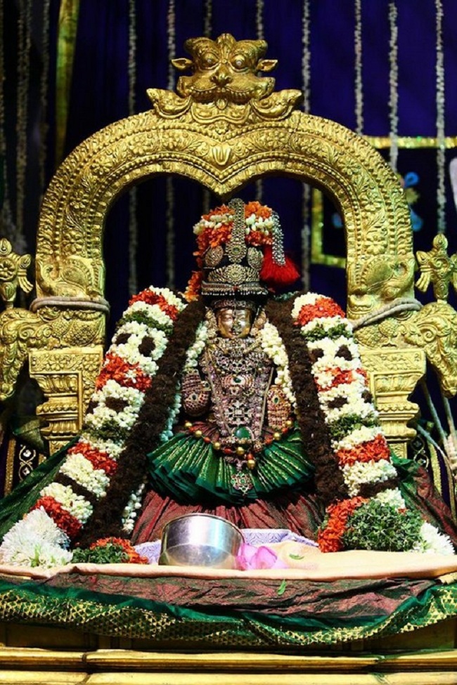Mylapore SVDD Srinivasa Perumal Temple Manmadha Varusha Annakota Mahotsavam11