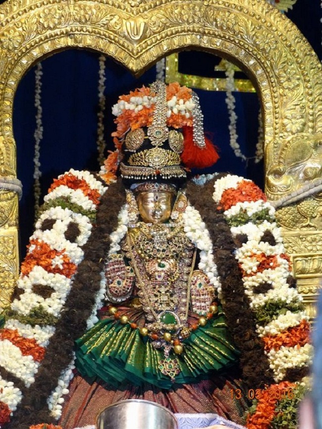 Mylapore SVDD Srinivasa Perumal Temple Manmadha Varusha Annakota Mahotsavam13