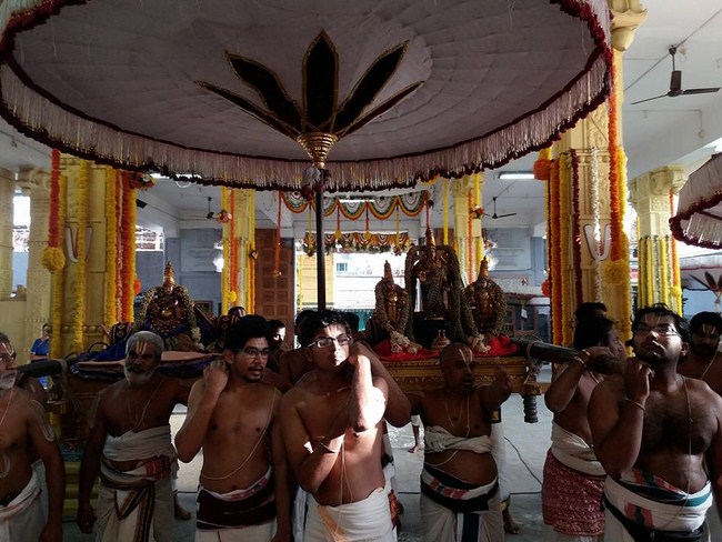 Mylapore SVDD Srinivasa Perumal Temple Manmadha Varusha Annakota Mahotsavam15