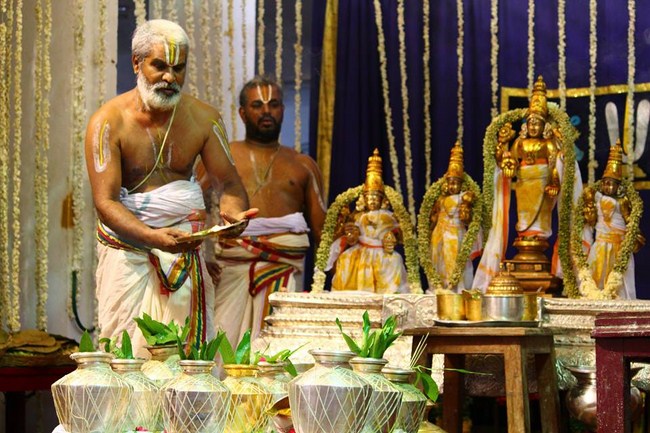 Mylapore SVDD Srinivasa Perumal Temple Manmadha Varusha Annakota Mahotsavam16