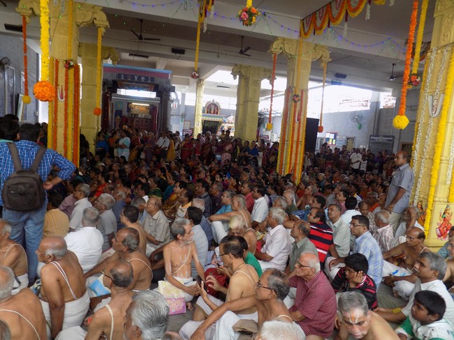 Mylapore SVDD Srinivasa Perumal Temple Manmadha Varusha Annakota Mahotsavam17
