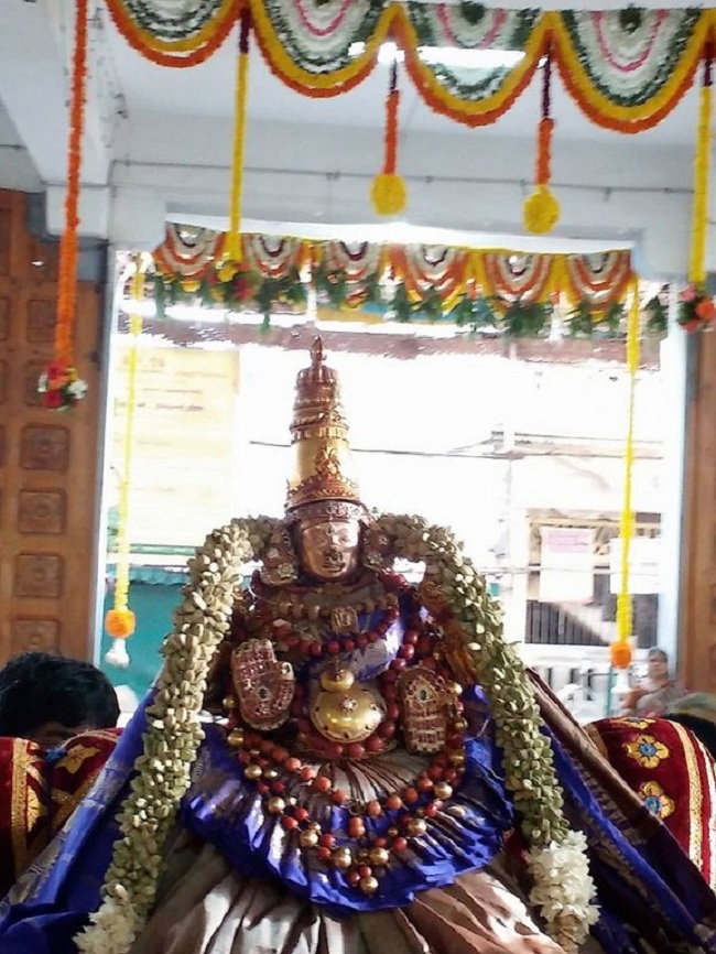 Mylapore SVDD Srinivasa Perumal Temple Manmadha Varusha Annakota Mahotsavam18