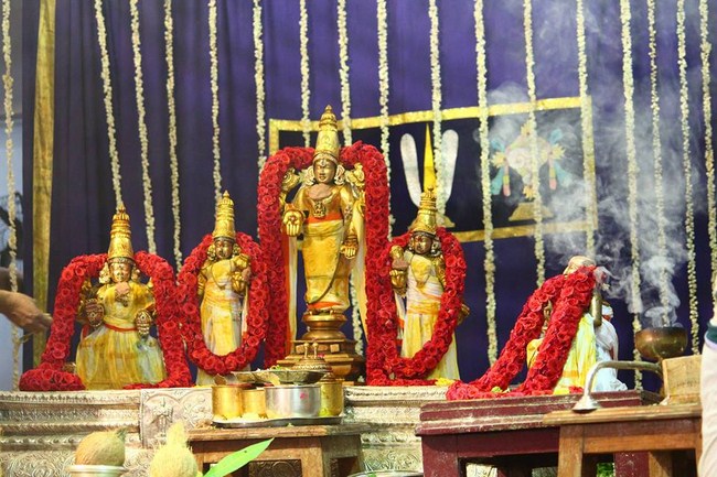 Mylapore SVDD Srinivasa Perumal Temple Manmadha Varusha Annakota Mahotsavam19