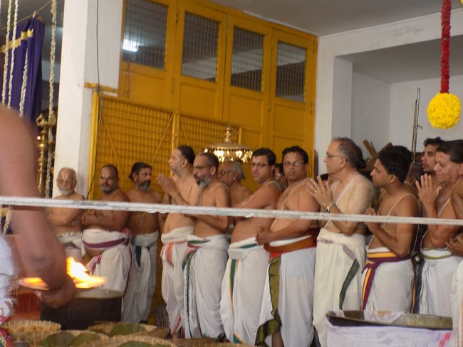 Mylapore SVDD Srinivasa Perumal Temple Manmadha Varusha Annakota Mahotsavam2