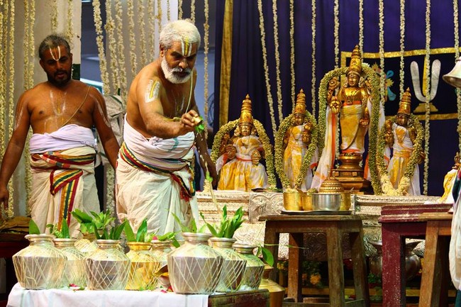 Mylapore SVDD Srinivasa Perumal Temple Manmadha Varusha Annakota Mahotsavam22