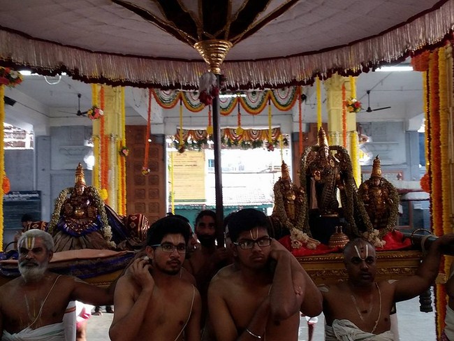 Mylapore SVDD Srinivasa Perumal Temple Manmadha Varusha Annakota Mahotsavam23