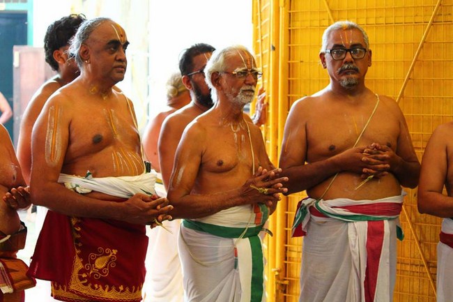 Mylapore SVDD Srinivasa Perumal Temple Manmadha Varusha Annakota Mahotsavam25