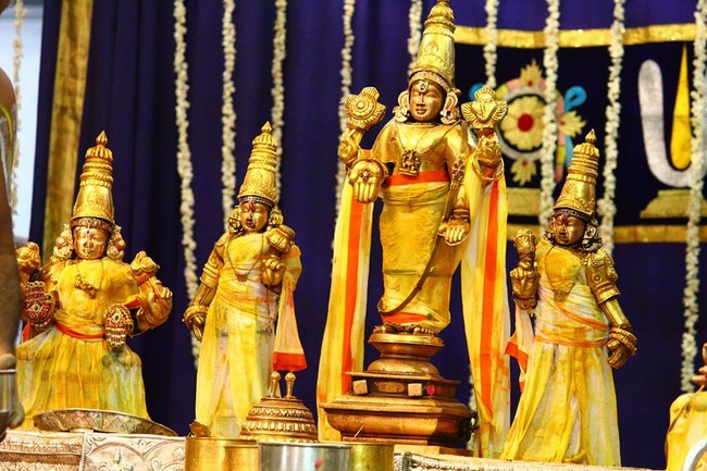 Mylapore SVDD Srinivasa Perumal Temple Manmadha Varusha Annakota Mahotsavam26