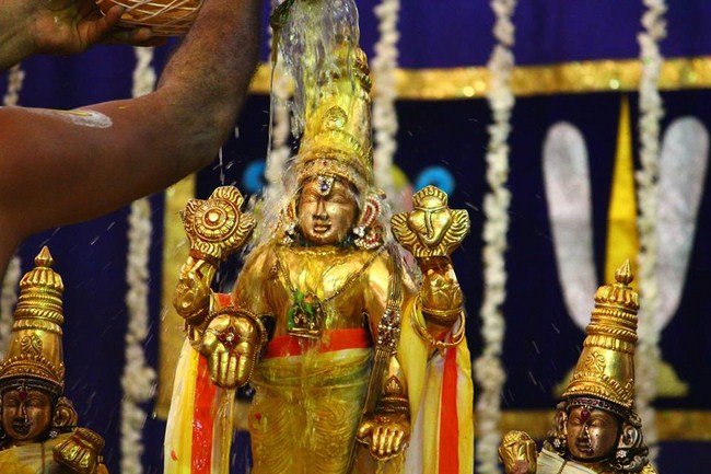 Mylapore SVDD Srinivasa Perumal Temple Manmadha Varusha Annakota Mahotsavam29