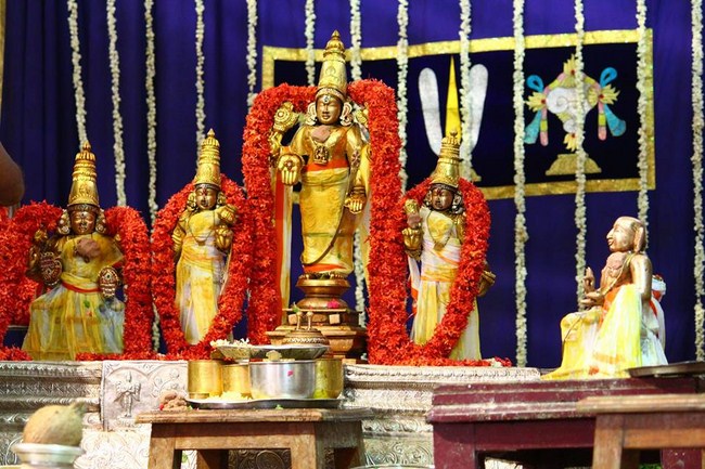 Mylapore SVDD Srinivasa Perumal Temple Manmadha Varusha Annakota Mahotsavam31