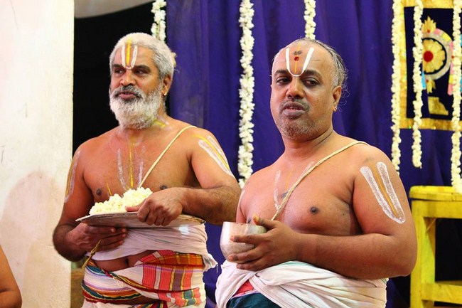 Mylapore SVDD Srinivasa Perumal Temple Manmadha Varusha Annakota Mahotsavam34