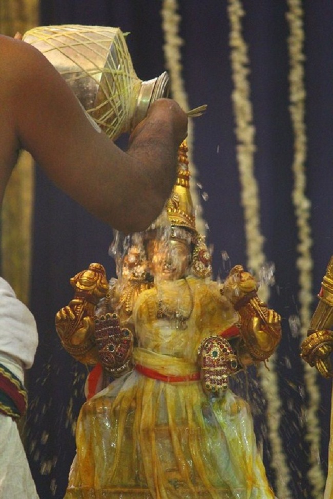 Mylapore SVDD Srinivasa Perumal Temple Manmadha Varusha Annakota Mahotsavam35