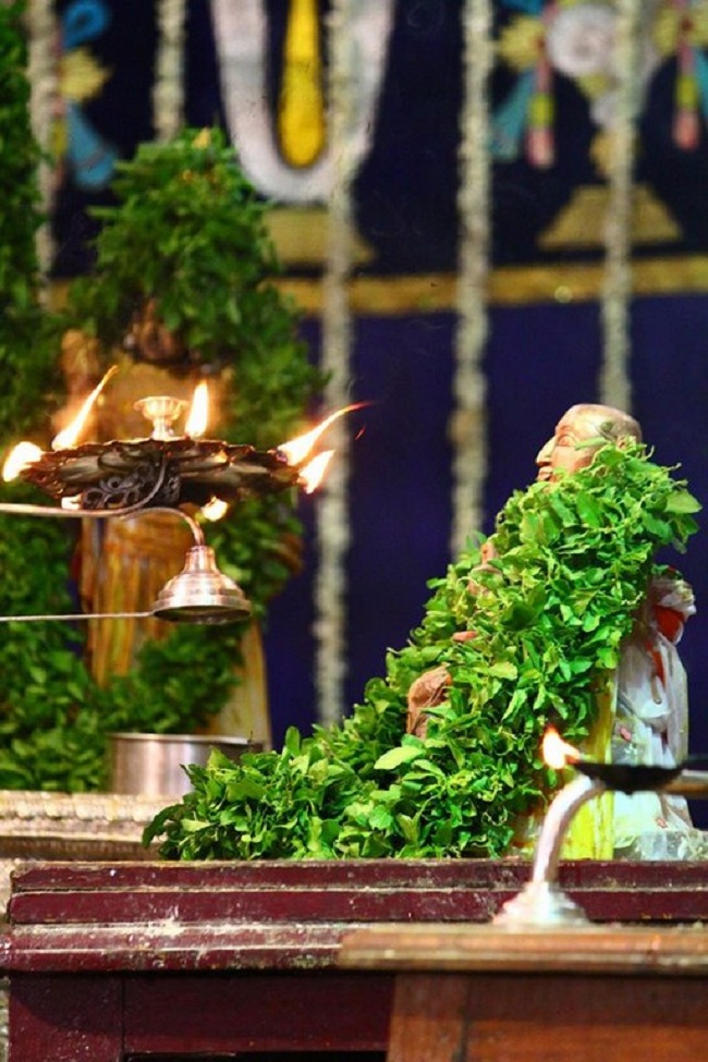 Mylapore SVDD Srinivasa Perumal Temple Manmadha Varusha Annakota Mahotsavam36