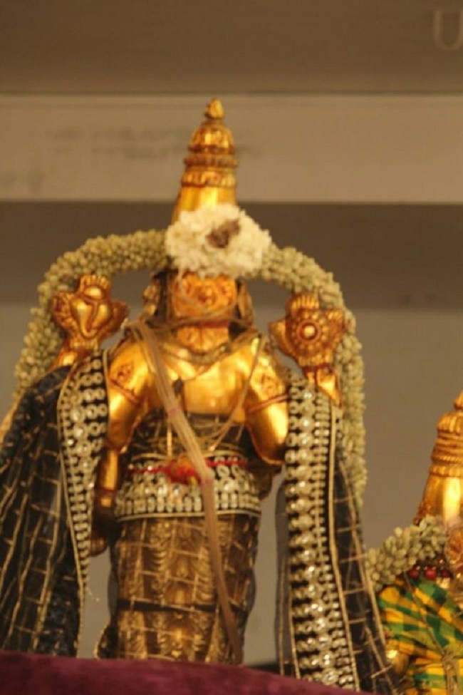 Mylapore SVDD Srinivasa Perumal Temple Manmadha Varusha Annakota Mahotsavam5