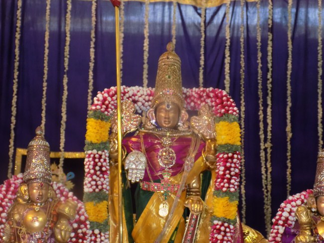 Mylapore SVDD Srinivasa Perumal Temple Manmadha Varusha Annakota Mahotsavam7