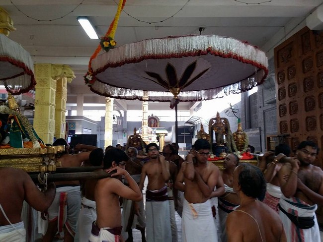Mylapore SVDD Srinivasa Perumal Temple Manmadha Varusha Annakota Mahotsavam9