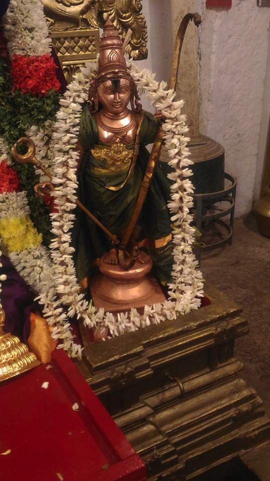 Mylapore-Sri-Madhava-Perumal-09