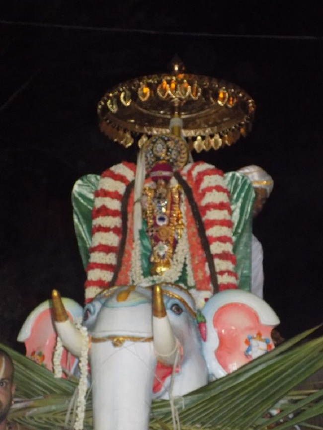 Nanganallur Sri Lakshmi Narasimhar Navaneetha Krishnan Temple Manmadha Varusha Varshika Brahmotsavam14