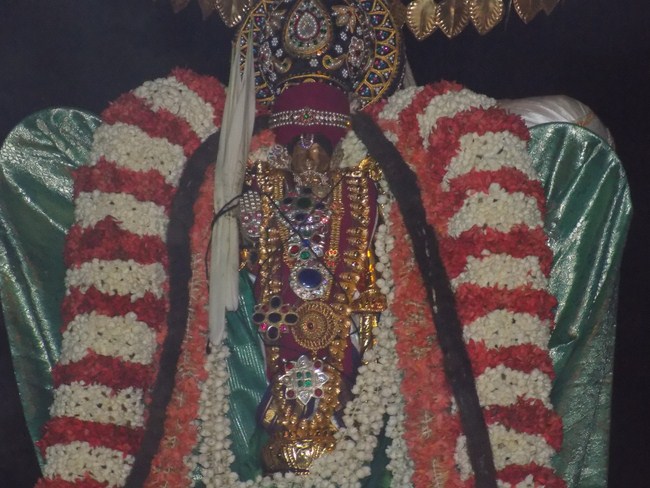 Nanganallur Sri Lakshmi Narasimhar Navaneetha Krishnan Temple Manmadha Varusha Varshika Brahmotsavam15