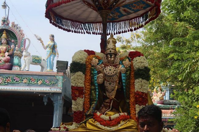 Pondicherry-Sri-Srinivasa-Perumal15