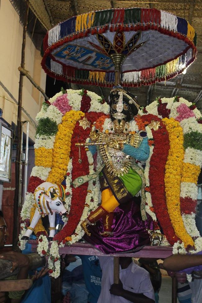 Pondicherry-Sri-Srinivasa-Perumal15