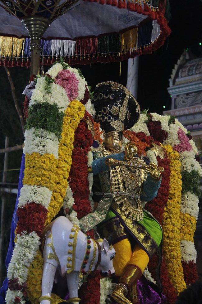 Pondicherry-Sri-Srinivasa-Perumal17