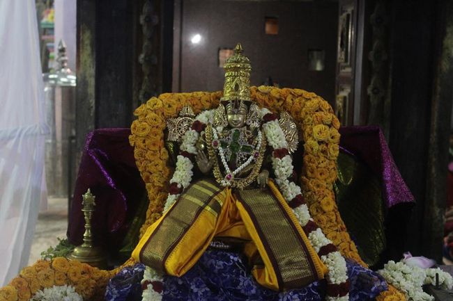 Pondicherry-Sri-Srinivasa-Perumal2