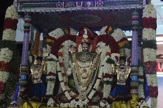Pondicherry-Sri-Srinivasa-Perumal22
