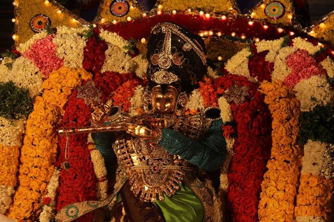 Pondicherry-Sri-Srinivasa-Perumal6