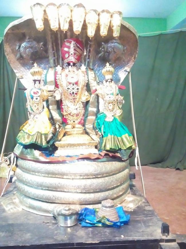 Thillaisthanam-Sri-Srinivasa-Perumal13