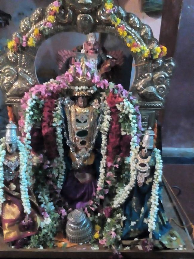 Thillaisthanam-Sri-Srinivasa-Perumal4
