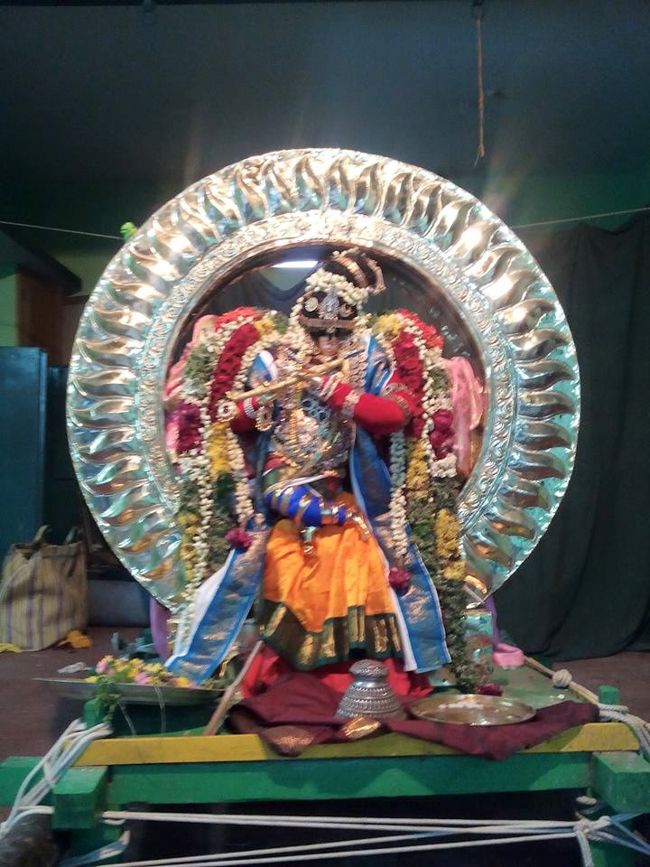 Thillaisthanam-Sri-Srinivasa-Perumal6