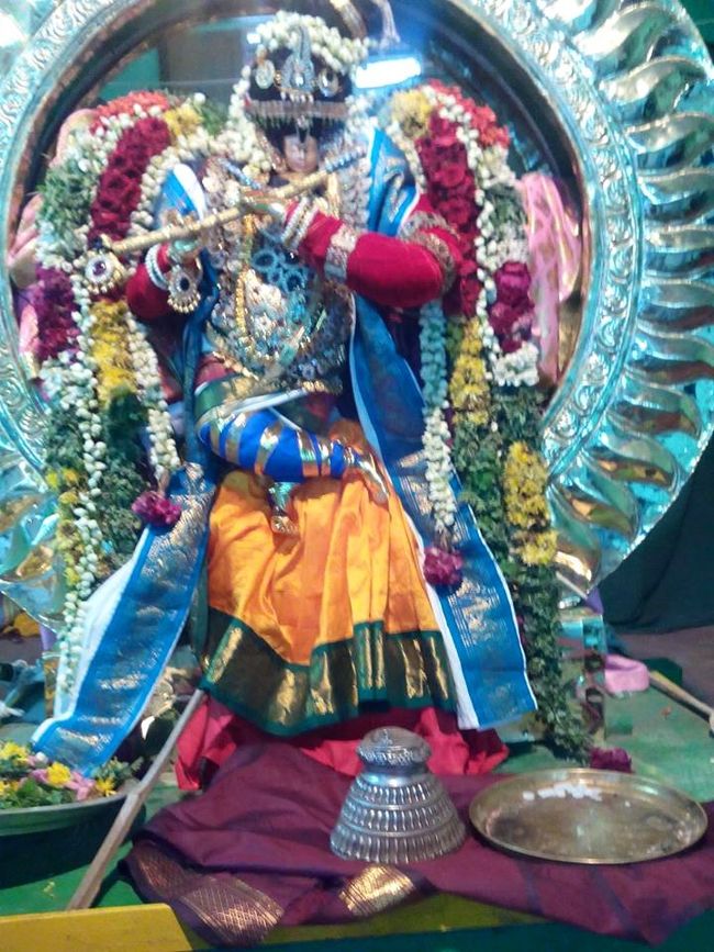 Thillaisthanam-Sri-Srinivasa-Perumal9
