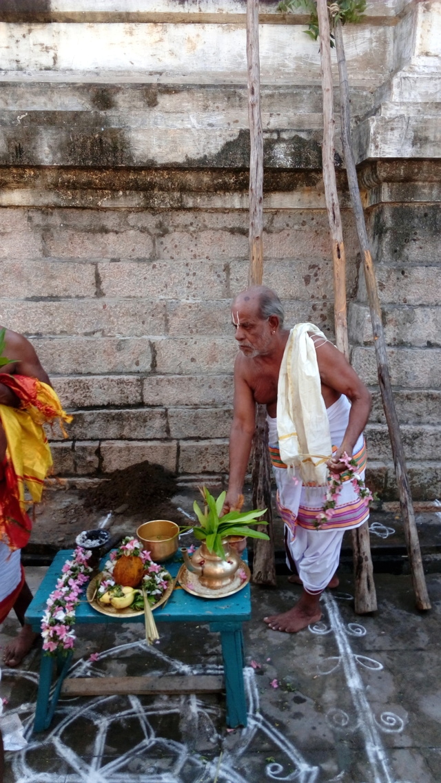 Thirukannamangai-Sri-Bhakthavatsala-Perumal-01
