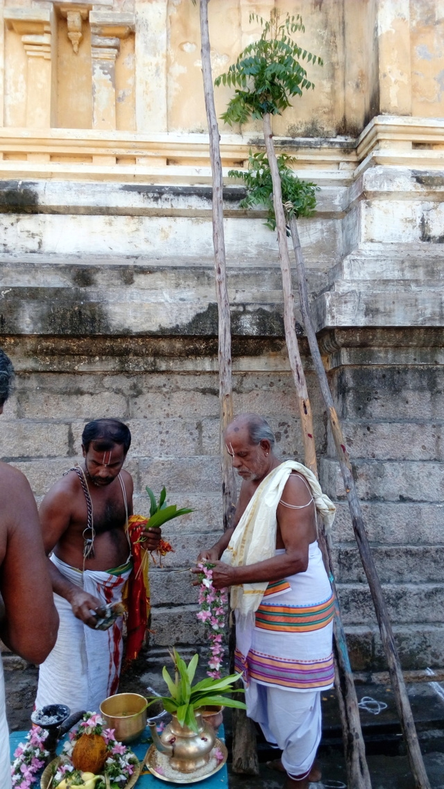 Thirukannamangai-Sri-Bhakthavatsala-Perumal-03