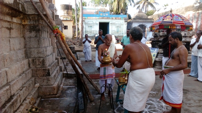Thirukannamangai-Sri-Bhakthavatsala-Perumal-08