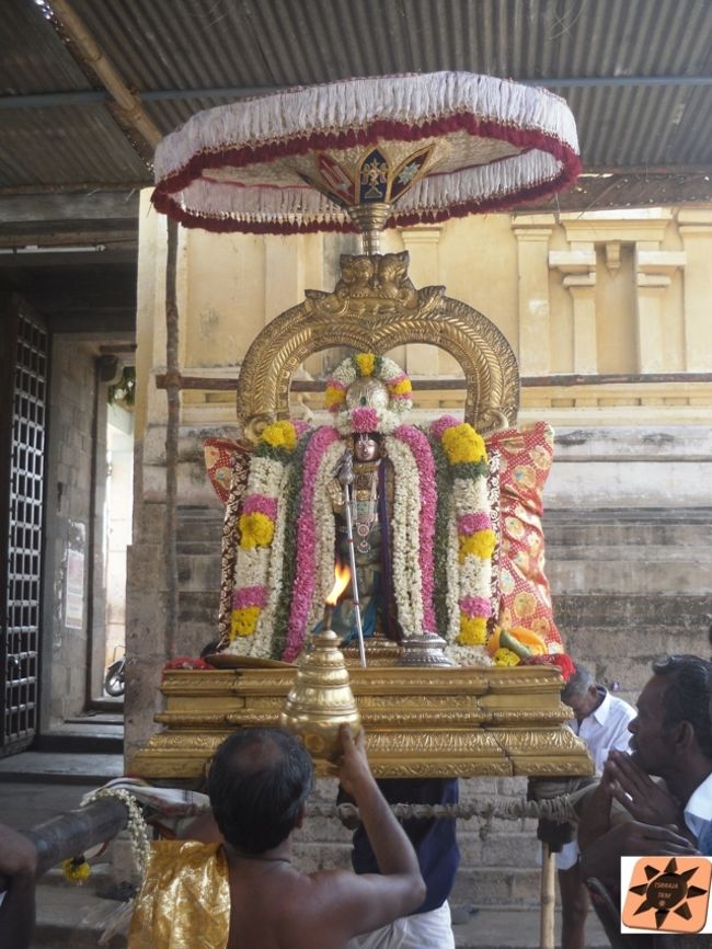 Thirukannamangai-Sri-Bhakthavatsala-Perumal11