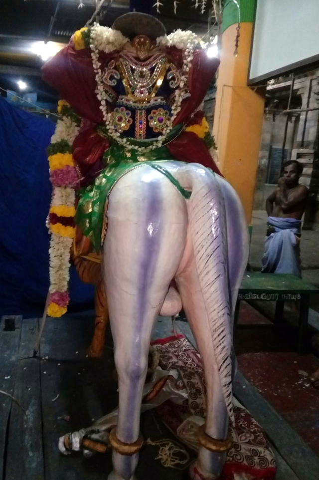 Thirukkannamangai_Sri_Bhakthavatsala_Perumal_Temple_Day8_27