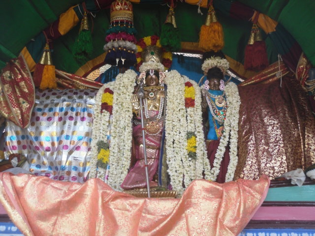 Thirukknannamangai_Sri_Bhakthavatsala_Perumal_04