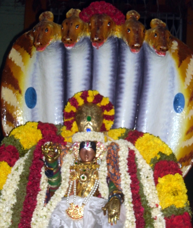 Thirukknannamangai_Sri_Bhakthavatsala_Perumal_05