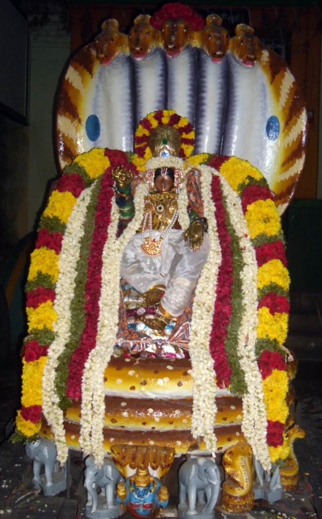 Thirukknannamangai_Sri_Bhakthavatsala_Perumal_09