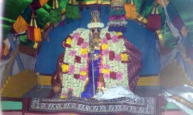 Thirukknannamangai_Sri_Bhakthavatsala_Perumal_Day5_00