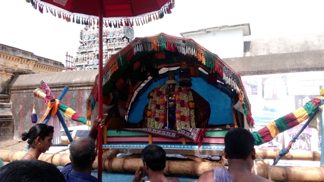 Thirukknannamangai_Sri_Bhakthavatsala_Perumal_Day5_06