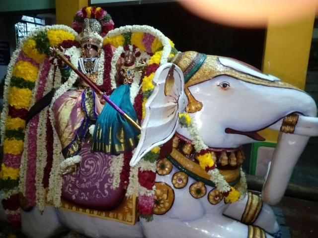 Thirukknannamangai_Sri_Bhakthavatsala_Perumal_Day6_27