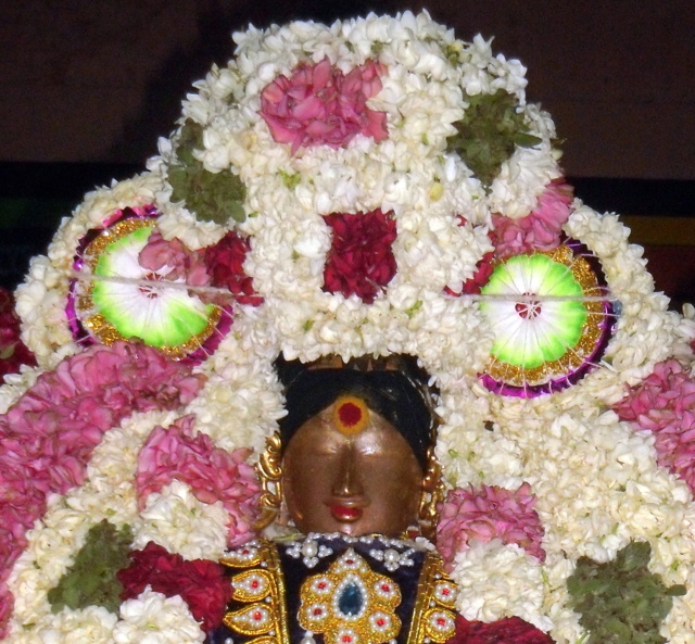Thirukknannamangai_Sri_Bhakthavatsala_Perumal_Day7_21